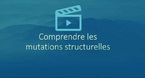 webinaire S2 comprendre les mutations structurelles - STACKR PROCOS