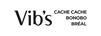 Reference Vib's – Comptage Pietons – STACKR